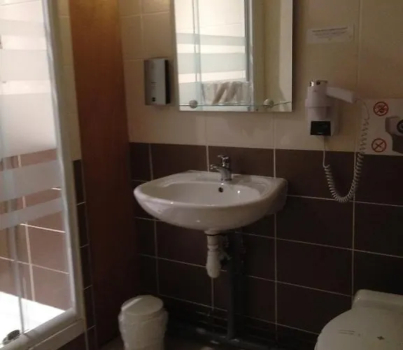 Logis De La Plaine La Rothière